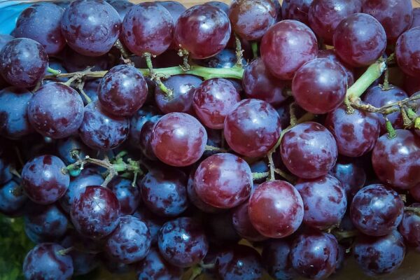 Purple Grapes - Image 4