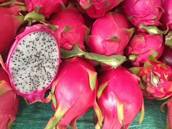 dragonfruit