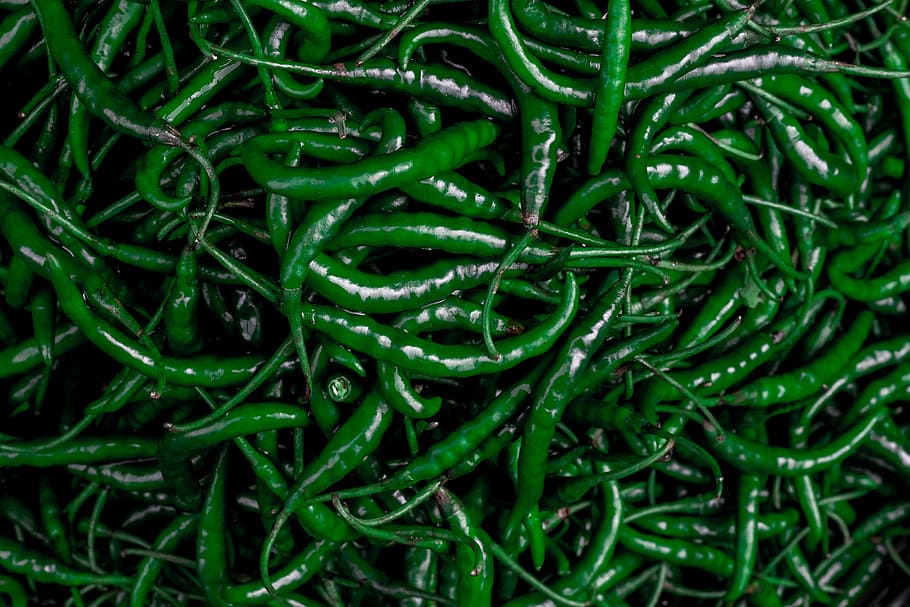 green chilli2