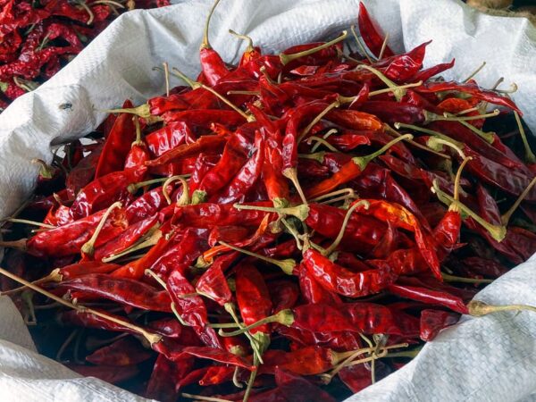 red dry chilli