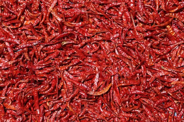 red dry chilli1